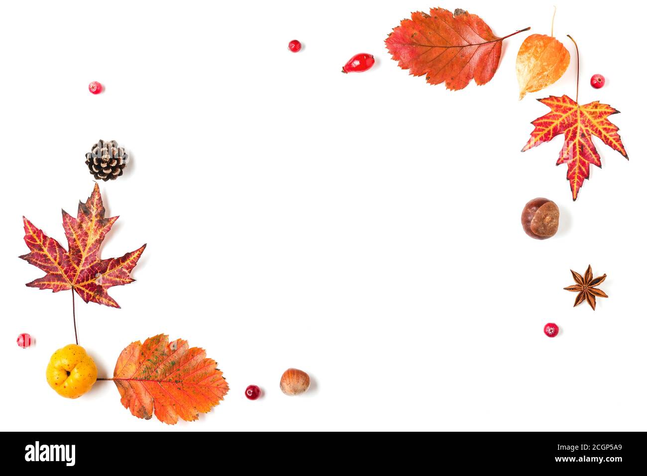 Arrière-plan de l'automne. Feuilles séchées, fleurs, baies, noix, cônes isolés sur fond blanc. Concept automne, automne, jour d'action de grâce. Pose à plat, dessus vie Banque D'Images Arrière-plan de l'automne. Feuilles séchées, fleurs, baies, noix, cônes isolés sur fond blanc. Concept automne, automne, jour d'action de grâce. Pose à plat, dessus vie Banque D'Images