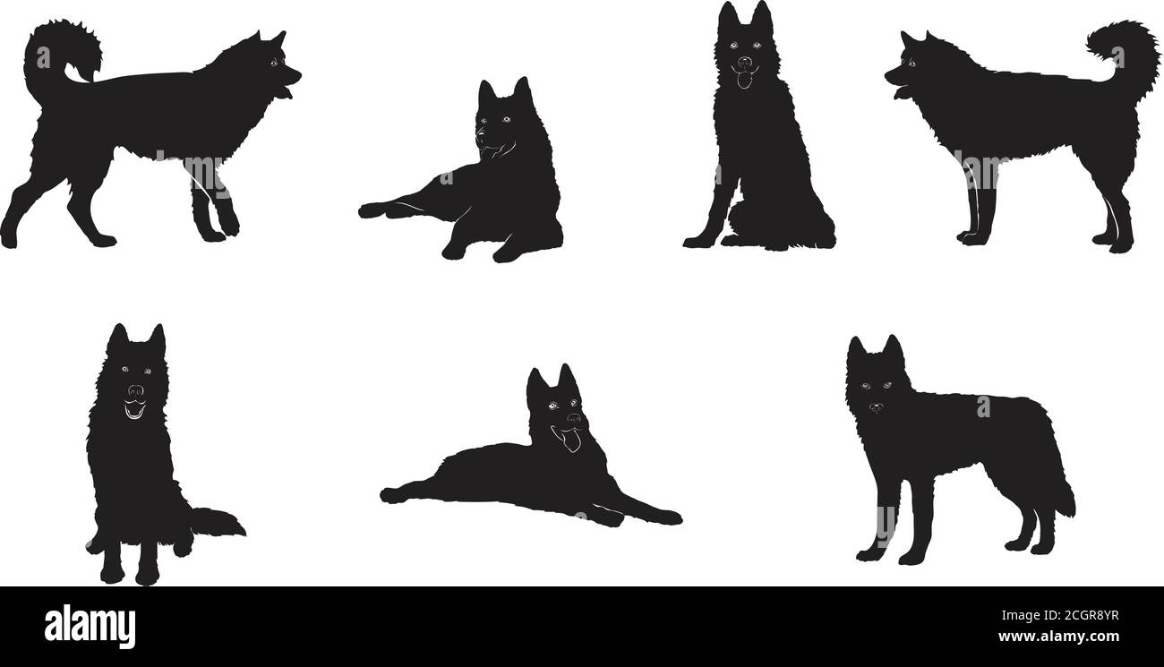 Husky en mouvement, husky, chien, figure husky, diverses poses, illustration, noir, vecteur, noir, apparence, espèce, dessin, décoratif, design Illustration de Vecteur