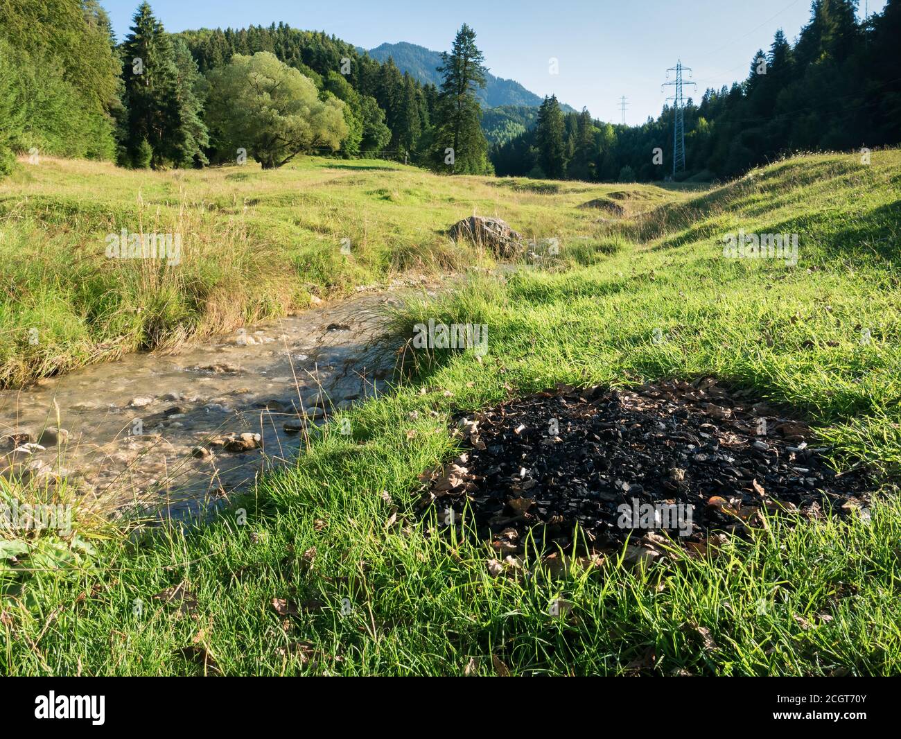 Cendres d'un feu de camp sur l'herbe verte au bord d'un ruisseau ou d'un ruisseau Banque D'Images