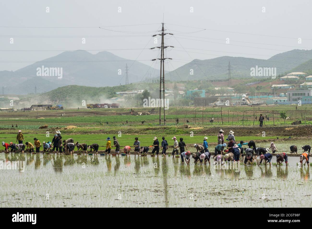Agriculture en Corée du Nord Banque D'Images
