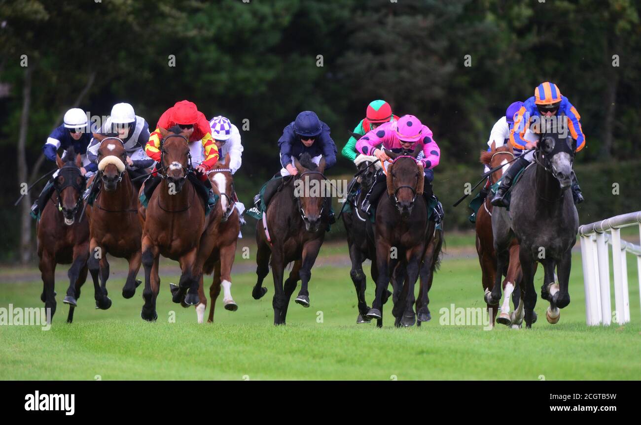 Ryan Moore à bord de Tiger Moth (au centre) sur le chemin de la victoire des piquets Paddy Power lors du premier jour du week-end des champions irlandais de Longines à l'hippodrome de Leopardstown, à Dublin. Banque D'Images