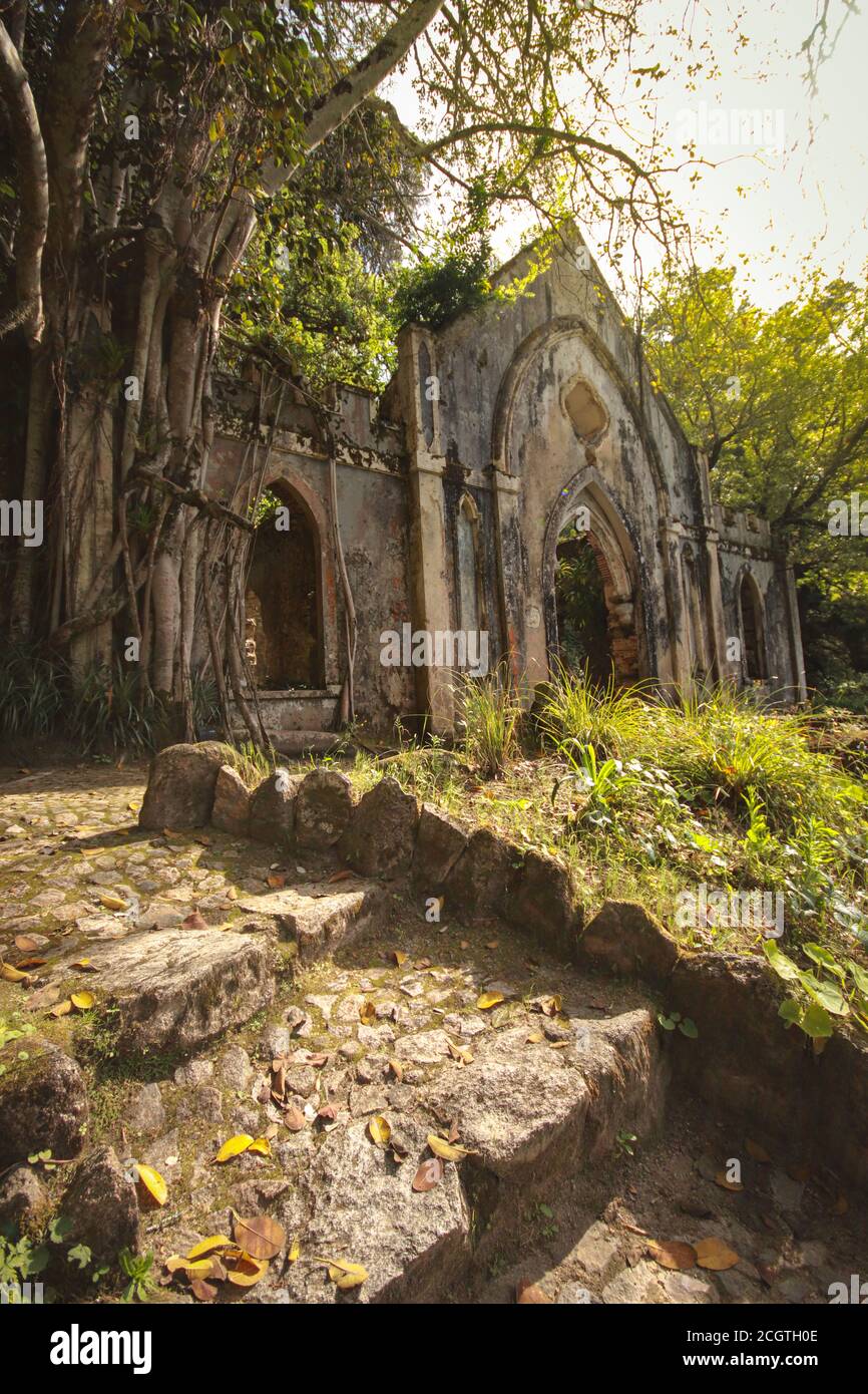 Ruines d'une ancienne chapelle dans une forêt couverte de végétation. Sintra Portugal Banque D'Images