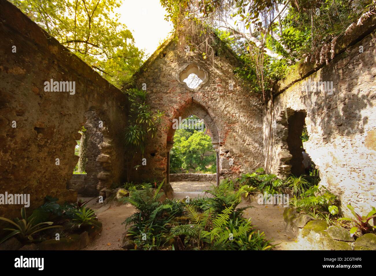 Ruines d'une ancienne chapelle dans une forêt couverte de végétation. Sintra Portugal Banque D'Images