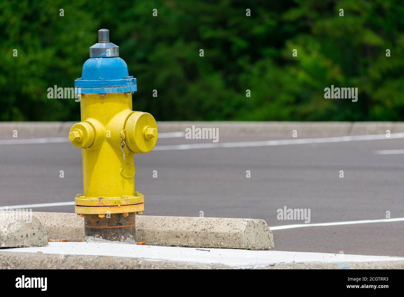 Prise de vue horizontale d'une ancienne borne d'incendie jaune et bleue avec espace de copie. Banque D'Images