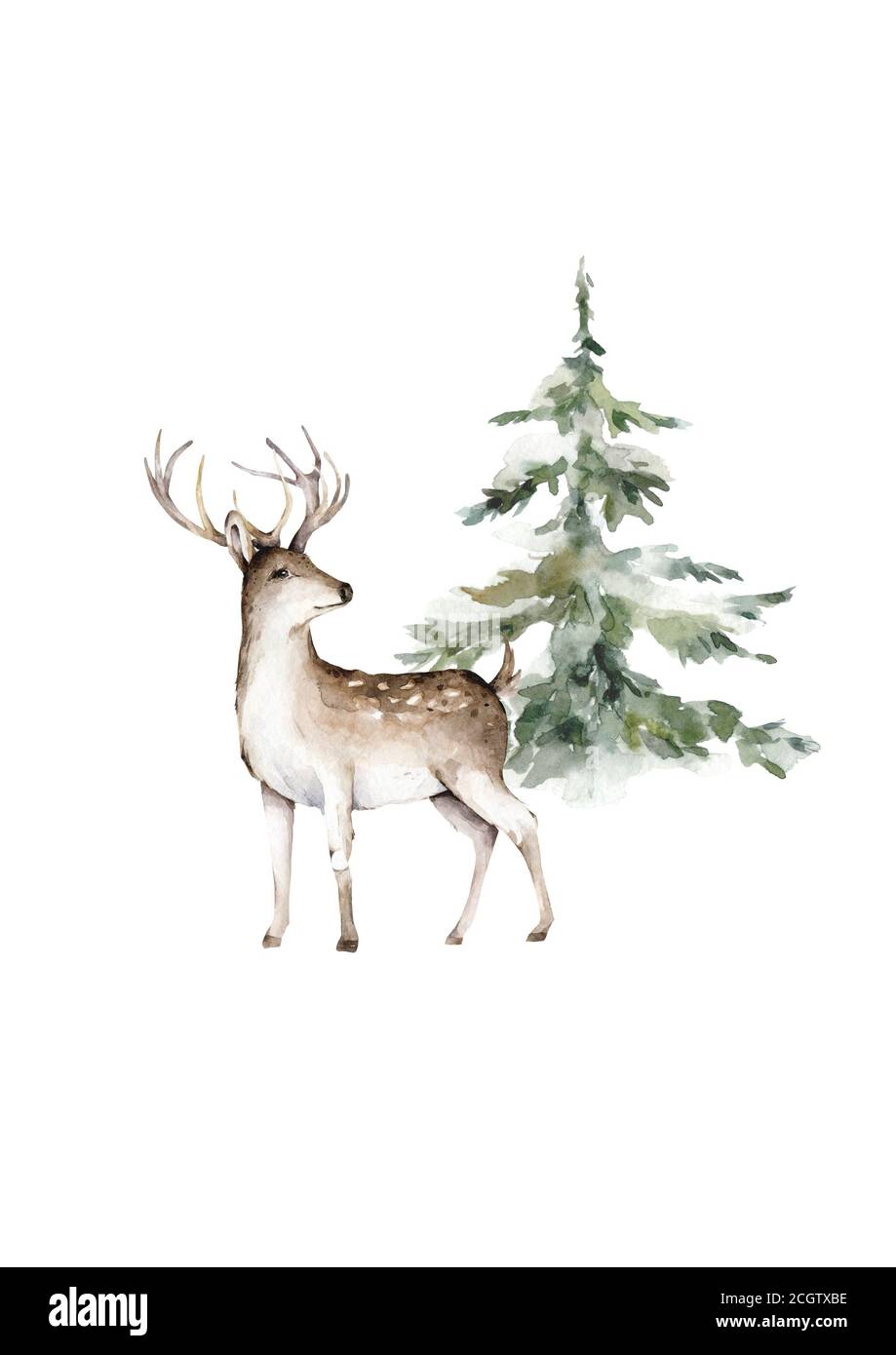 Illustration de cerf aquarelle dessinée à la main avec arbre, objets d'isolement sur fond blanc animal sauvage de la forêt Banque D'Images