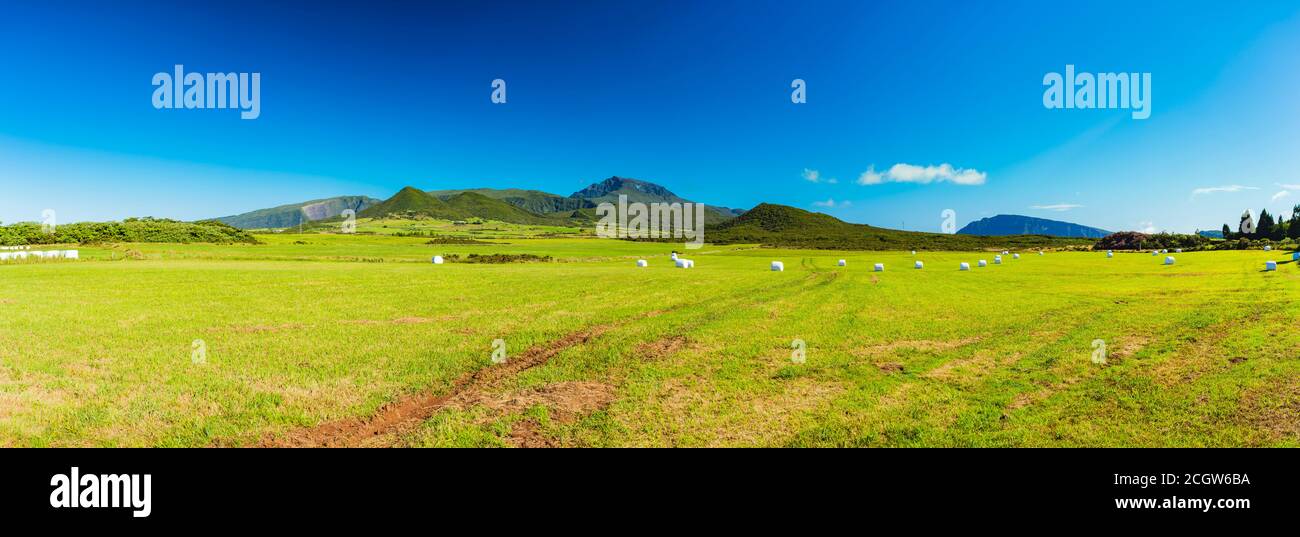 Grande étendue de pâturage dans les plaines de l'île de la Réunion Avec le Piton des neiges en arrière-plan Banque D'Images