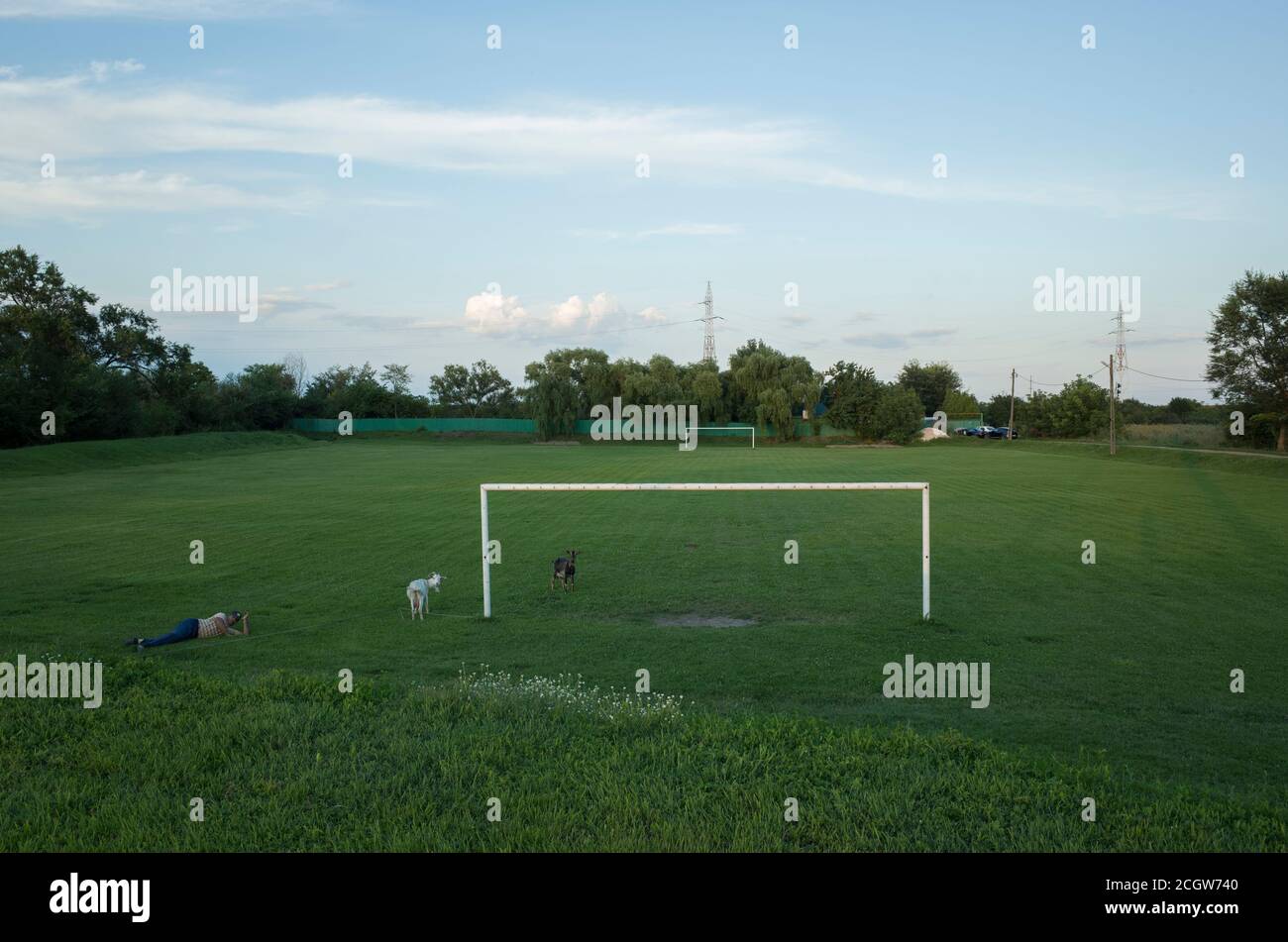 Daia Roumanie - juillet 15 2018 : terrain de football rural vide avec chèvres paître et paysan près du poste vide de but Banque D'Images