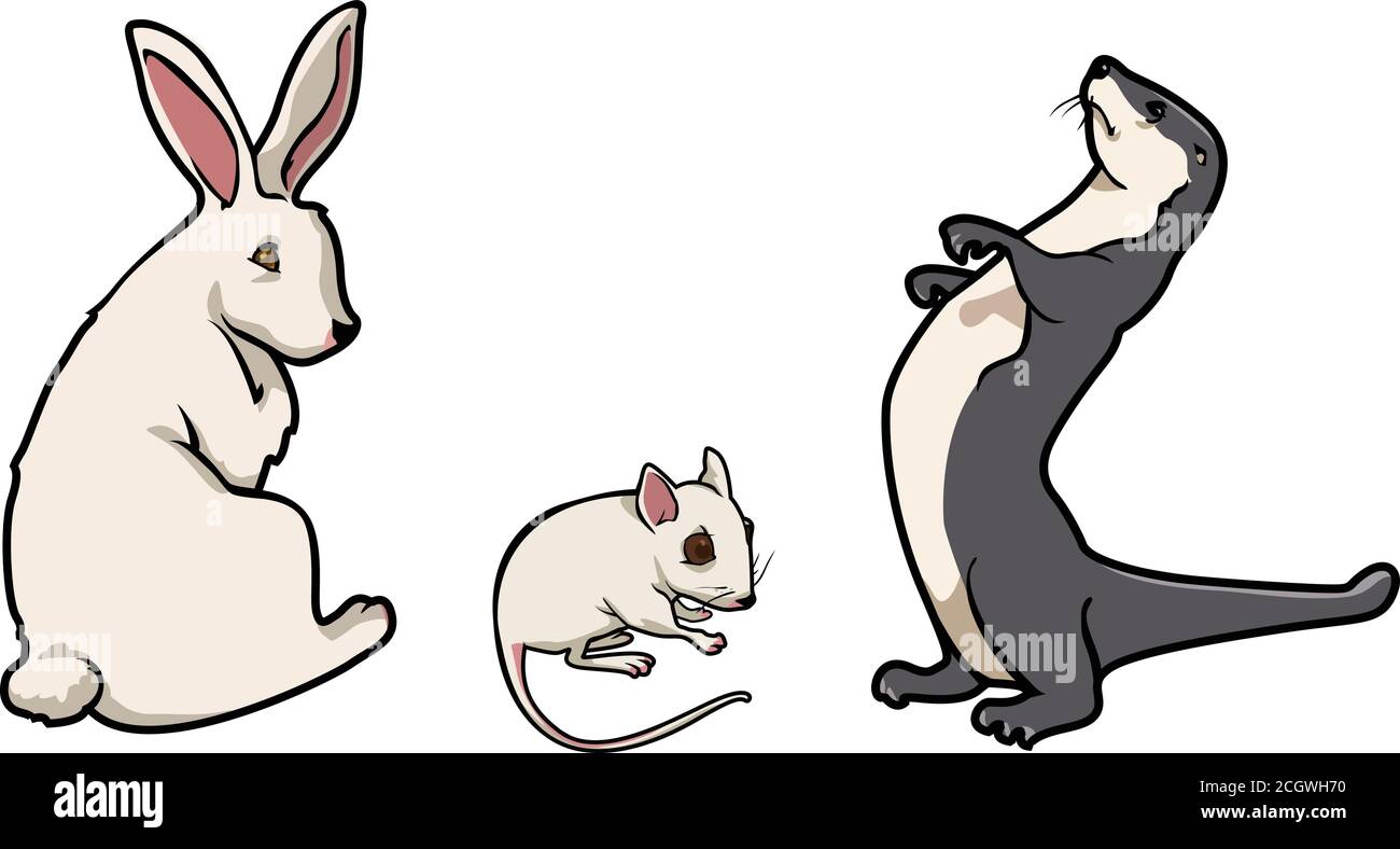 illustration vectorielle de dessin animé d'une souris de lapin et d'un furet Illustration de Vecteur