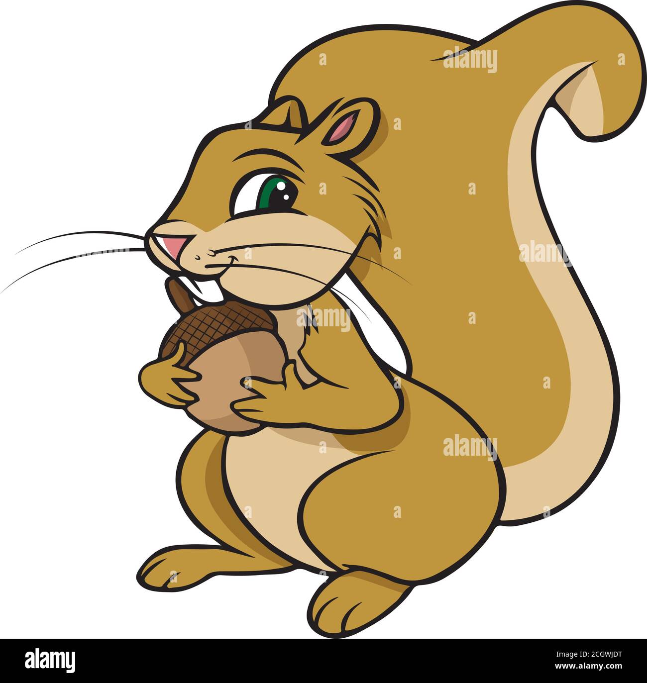 illustration vectorielle de dessin animé d'un écureuil avec un écrou Illustration de Vecteur