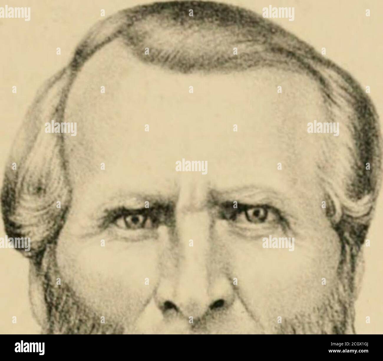 . Histoire du comté de Pike, Illinois; avec des croquis de ses villes, villages et cantons, histoire éducative, religieuse, civile, militaire et politique; portraits de personnalités éminentes et biographies de citoyens représentatifs. Histoire de l'Illinois ... Résumé des lois de l'État .. . * étaient : Allen C. Rush, président ; JolinAViiittleton, vice-président ; J. 11. Cmiie, S«cretary; S. Origsby,Trésorier. Hirectors—C. li. Dustin, Frank Zerenl) Allen C.Kush, N. 1. HART. WM. P.. Wills, Dan P.ates, GeorgeWatson, E.N. Français et Henry Hall. Tlie 2&gt;e salon annuel a eu lieu à Sej^tember, ls79, con Banque D'Images