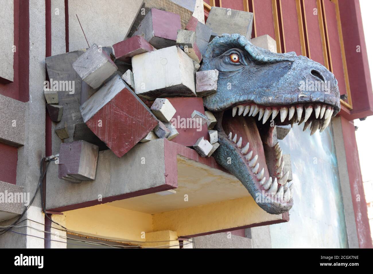 Sculpture de Tyrannosaurus Rex au Dinosaur Museum, Ulan Baatar, Mongolie Banque D'Images