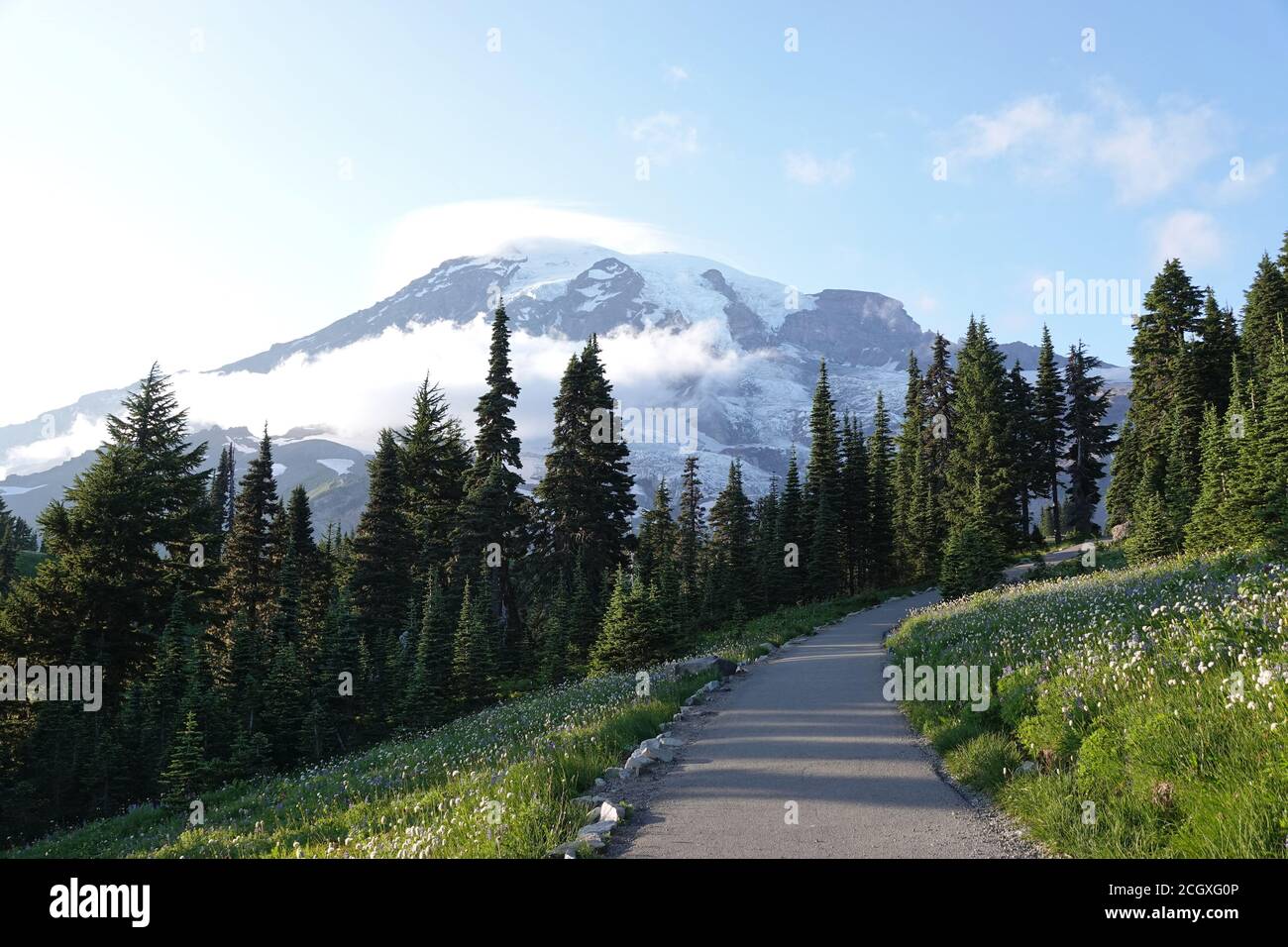 Sentier pavé accessible dans le parc national du Mont Rainier, État de Washington, États-Unis Banque D'Images