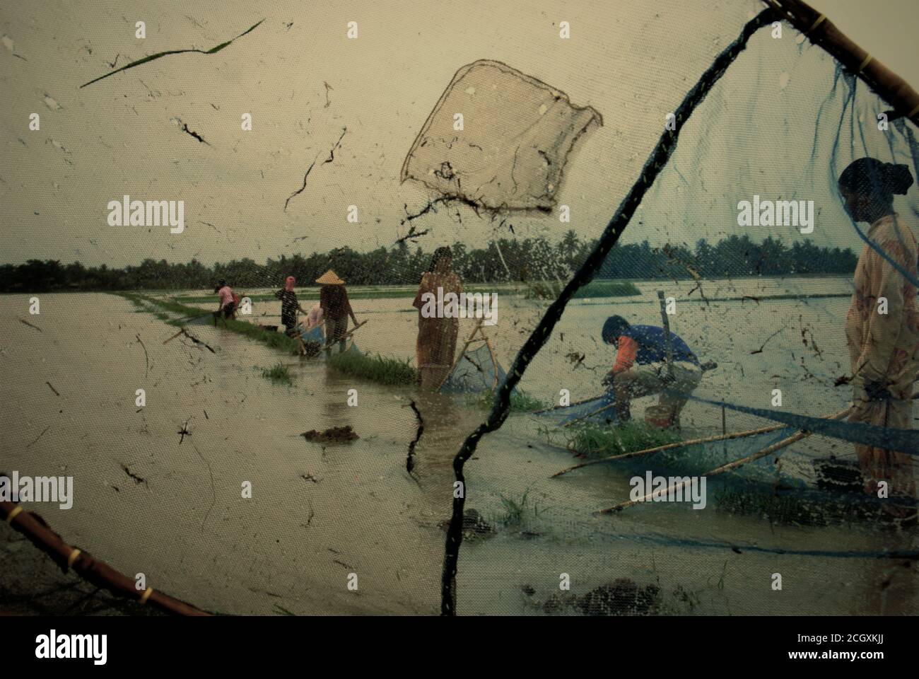 Les personnes pêchant sur un champ de riz inondé avec des pushnets pendant une saison des pluies qui a causé des inondations à Karawang regency, province de Java Ouest, Indonésie. Banque D'Images