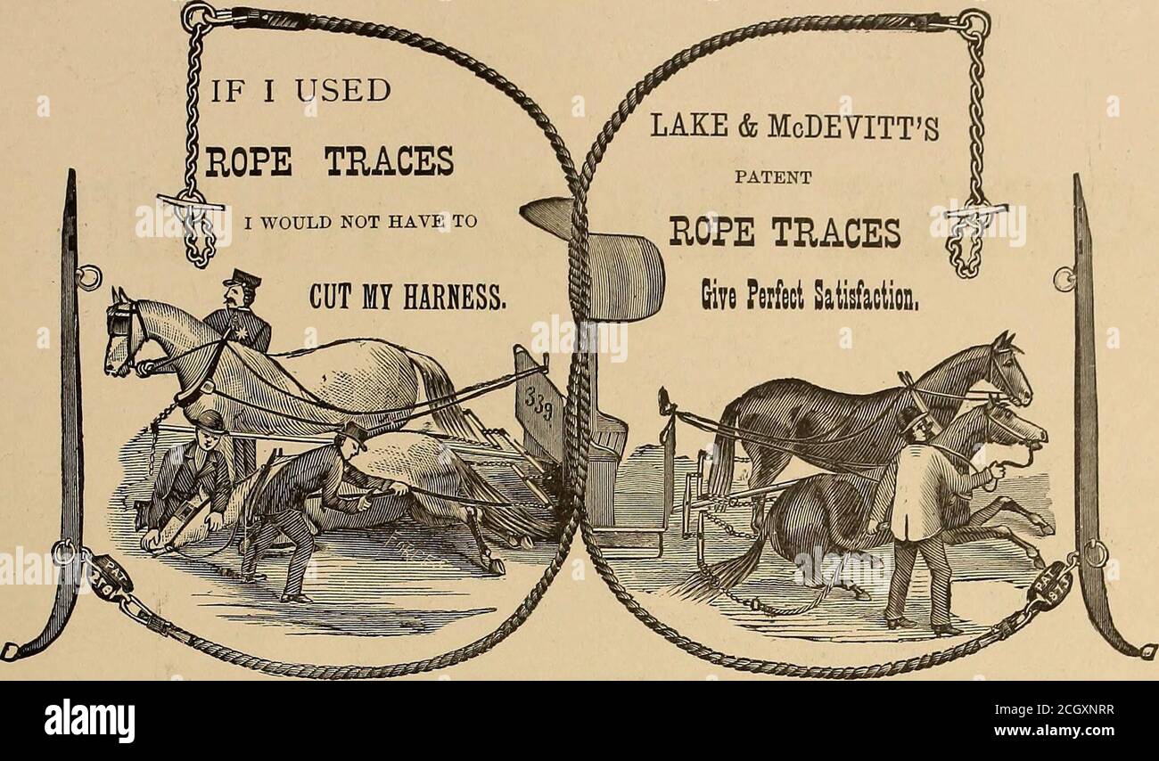 . Le journal de chemin de fer de rue . aring, sans qui il ne peut pas être bon cheval-raquette. GRENOUILLE PRESSORE est un facteur aussi important pour la santé des chevaux pied que l'air est aux poumons ou la nourriture à l'estomac. C'est la PIERRE-CLÉ DE L'ARCHE. Les avantages du système Goodenough sont, d'abord et avant tout, SOUNDHORSES; deuxièmement, LA RAQUETTE À CHEVAL BON MARCHÉ. Les chemins de fer à cheval utilisant le système dans son intégralité non seulement acheter beaucoup moins de fer et de payer beaucoup moins de main-d'œuvre, buthave également beaucoup plus facile à entretenir stock. A dit un surintendant de chemin de fer de cheval de maintenant la plus grande route des États-Unis: Nous ne portons pas de fer non Banque D'Images
