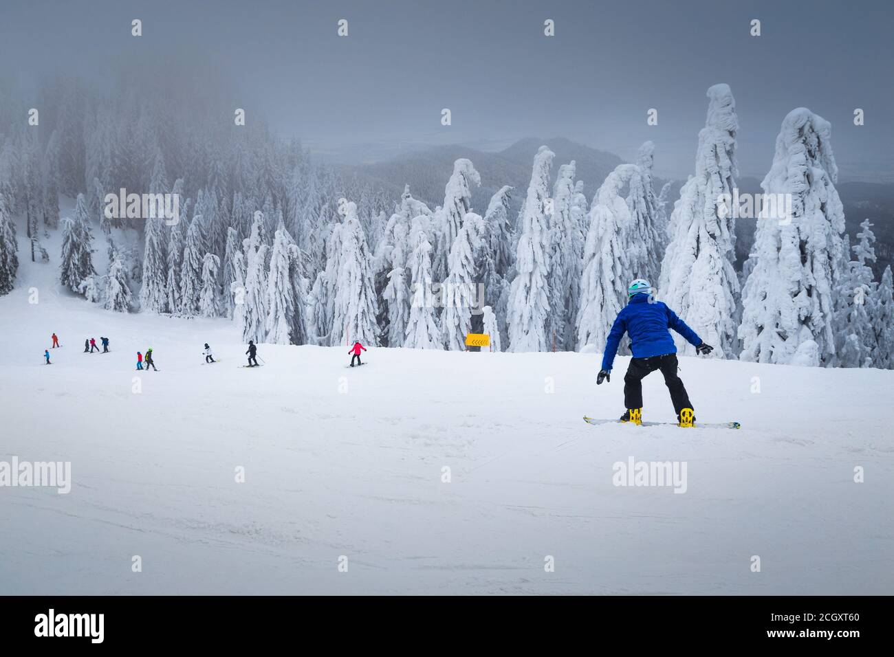 Superbes arbres enneigés et fantastique station de ski d'hiver. Skieurs et snowboarders actifs ski alpin dans la station de ski fabuleuse de Poiana Brasov, tr Banque D'Images