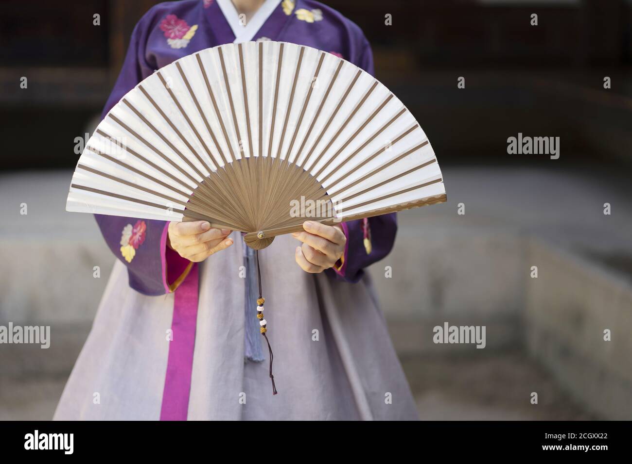 Femme vêtue de vêtements traditionnels coréens tenant un fan traditionnel coréen Banque D'Images