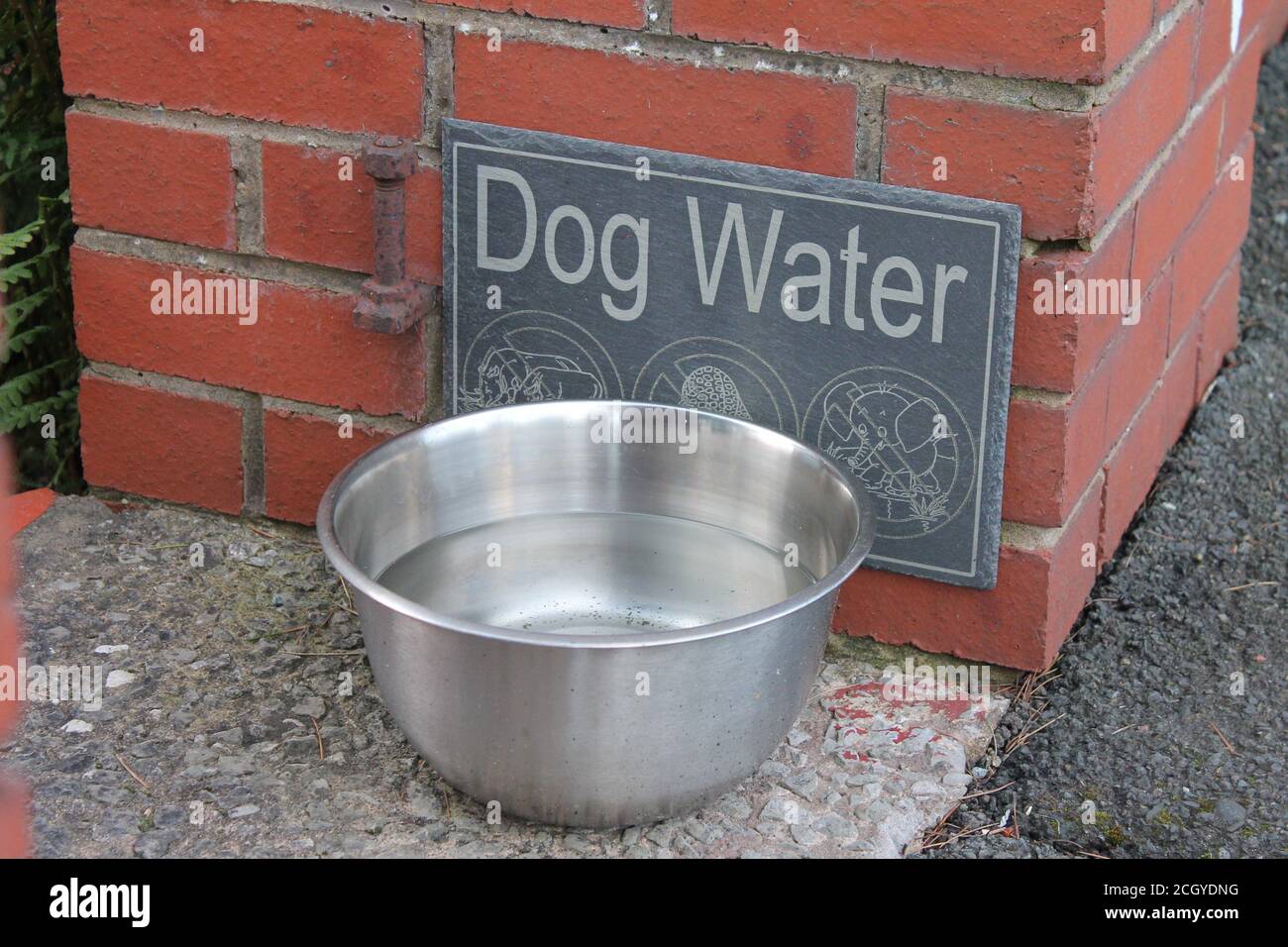 Panneau d'eau pour chiens et bol en métal à l'entrée de l'hôtel Banque D'Images