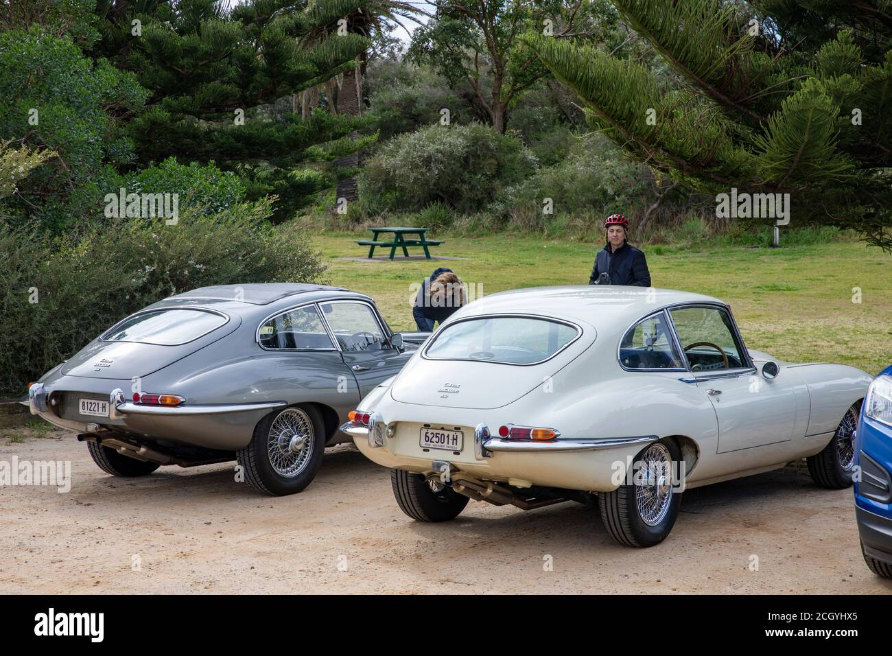 Deux voitures Jaguar e type coupé de la série classique 1 modèle ,1965 à gauche et Jaguar e type coupé 1967, Sydney, Australie Banque D'Images