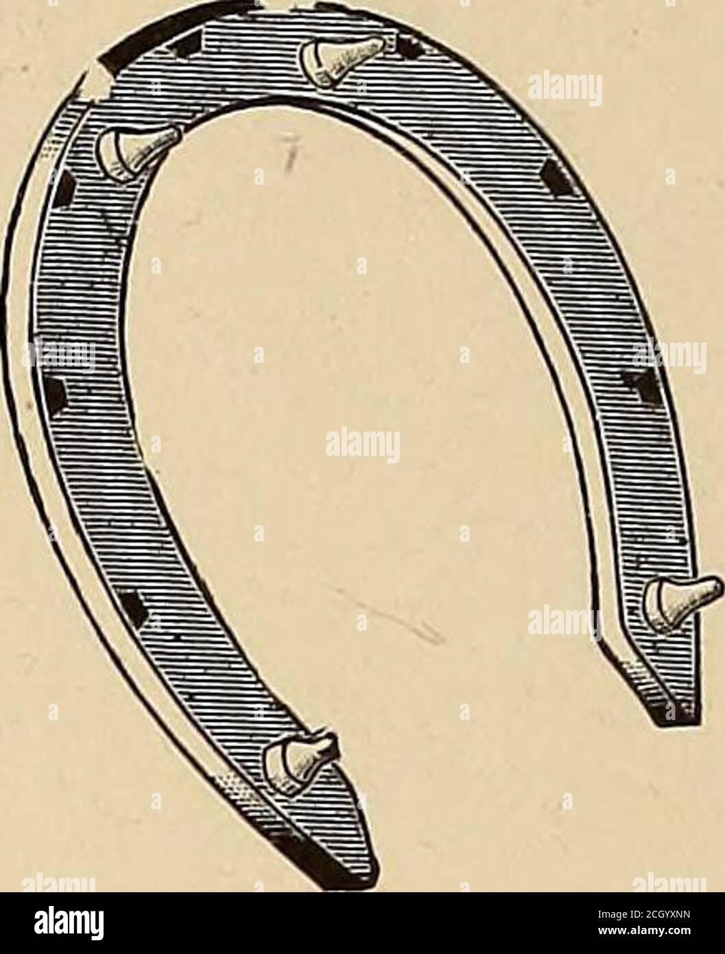 . Le journal de chemin de fer de rue . possède de nombreux avantages, apparemment.nous n'aurions pas besoin de couper nos traverses le toutilize, le conduit étant si petit, andit est estimé que nos lignes seraient équipées avec elle à un coût d'au plus 40,000 $ par mile, y compris tout. La Neverslip Horse-Shoe. Nous illustrons ci-joint la chaussure Neversliphorse. Il s'agit d'une nouvelle méthode de pointure spécialement adaptée à une utilisation en hiver. La meilleure chaussure, appliquée de la meilleure façon, est une question très importante, tant pour des raisons économiques que humaines. Les fabricants*de cette chaussure prétendent avoir résolu la que-tion dans le mois Banque D'Images