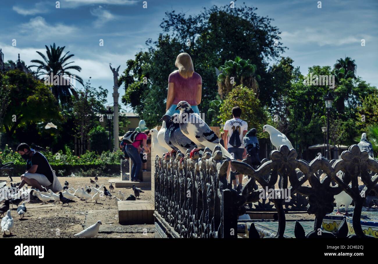 Pigeons et colombes debout sur une clôture en fer de la Plaza de América, Parc Maria Luisa avec des touristes en arrière-plan Banque D'Images