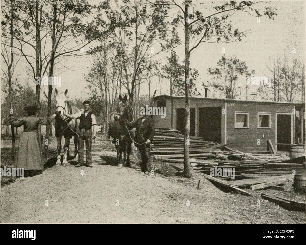 . L'attrait de la terre. (4e éd.) L'histoire d'un jardin de marché et d'une parcelle laitière s'est développée en huit mois sur le territoire inactif de long Island, longtemps désigné comme 'déchet de chêne crub' et 'barrens de pin'; Être une histoire vraie du travail effectué par la long Island Railroad co. Aux stations expérimentales numéros un et deux, à laquelle dans la deuxième édition a été ajouté les séquelles . Je ne vois pas comment les exercices à main fonctionneront jamais entre eux. Nous ne pouvons tout simplement pas nous permettre de les ratisser à la main. Pourquoi ne pas emprunter un rake de foin de cheval régulier, je devrais penser que les effacer un peu. Tête de niveau, HE hors Banque D'Images