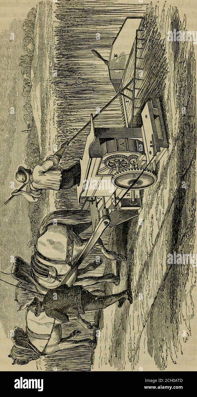 . Traité rudimentaire sur le génie agricole . llyaccompli cet objet qu'ils sont formés d'une forme liketo une tête de lance, ce qui fait que les pailles ou les tiges glissent dans les espaces entre eux quand dans cette position, et les bords inclinés à la racine des doigts (c'est-à-dire, immieusement au-dessus de la lame de coupe) forment un angle aigu avec le bord du couteau, la découpe des pailles ou des staksis est assurée par le mouvement alternatif de la lame de couteau. Deux vues distinctes des pièces des doigts et de la lame de coupe sont fournies dans les figures. 4 et o, la lame sur la fig. 4 i Banque D'Images