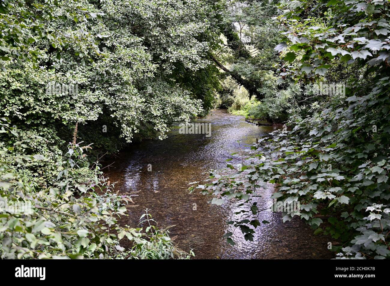 La rivière Cray, Foots Cray Meadows, Sidcup, Kent. UK Banque D'Images
