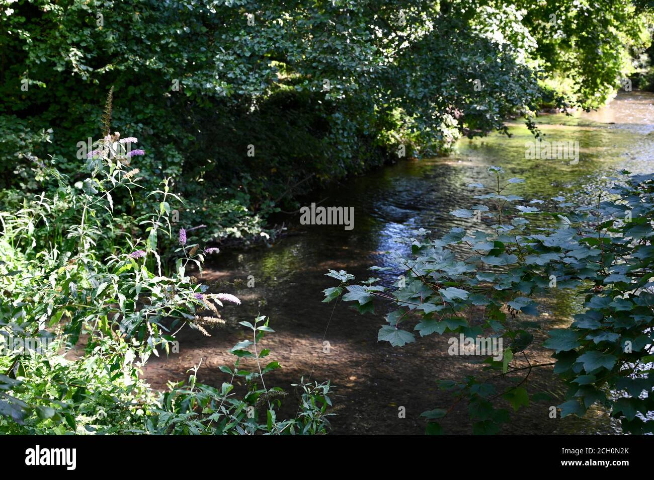 La rivière Cray, Foots Cray Meadows, Sidcup, Kent. UK Banque D'Images