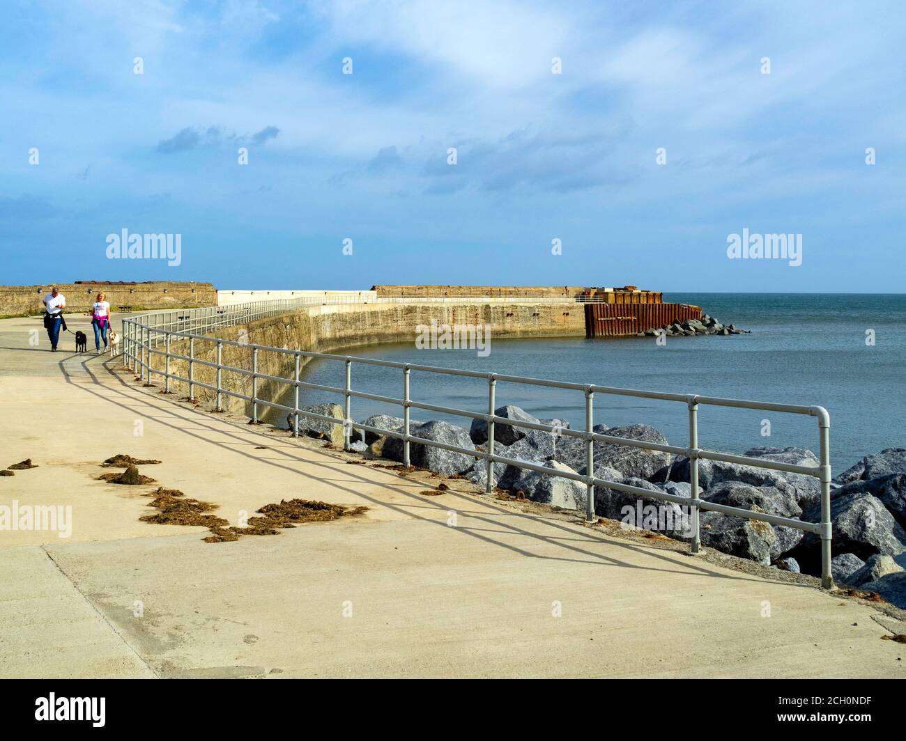 Le mur du port à Skinningrove reste de la jetée autrefois utilisé par les travaux d'acier couple marchant avec deux chiens Banque D'Images