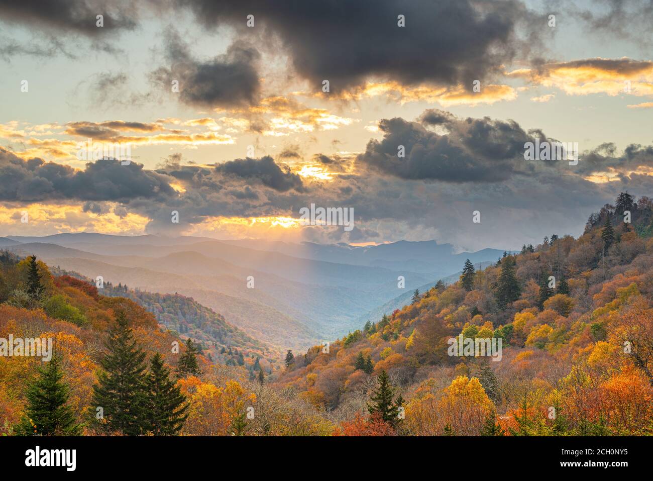 Great Smoky Mountains National Park, California, USA donnant sur la nouvelle note à l'automne. Banque D'Images
