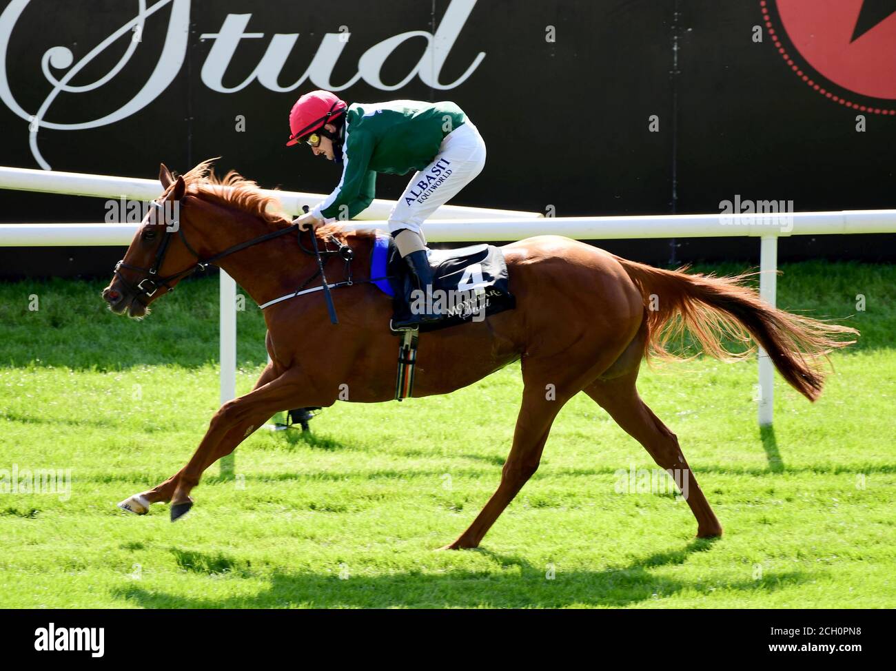 Jockey shane foley at curragh racecourse Banque de photographies et d ...