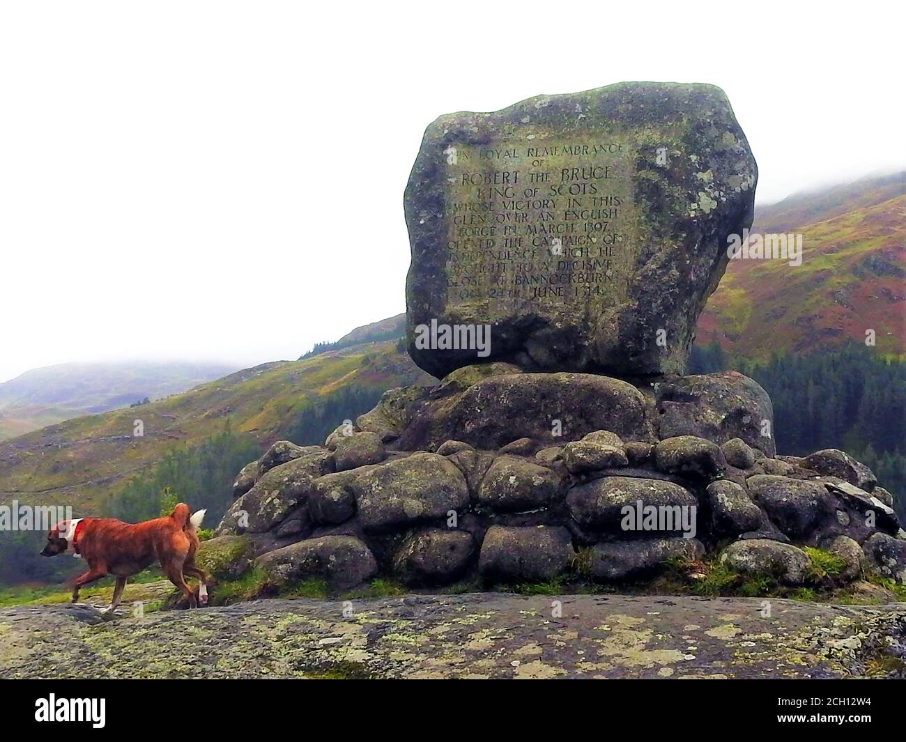 Un chien traîne par le Mémorial Robert the Bruce (comte de Carrick), près du Loch Troon, Galloway (photographie de 2020). - la bataille de Glen Trool a eu lieu lors de la première Guerre de l'indépendance écossaise, qui a eu lieu en avril 1307. Glen Trool est un Glen étroit dans les Uplands du Sud de Galloway, en Écosse dans lequel le Loch Trool (derrière le monument) est situé. Alors que les soldats anglais approchaient le Glen étroit dans un seul dossier, les hommes de Bruce ont lancé des blocs et des flèches vers le bas sur eux. Les soldats anglais ont été tués ou retirés et Bruce a été victorieux. Banque D'Images