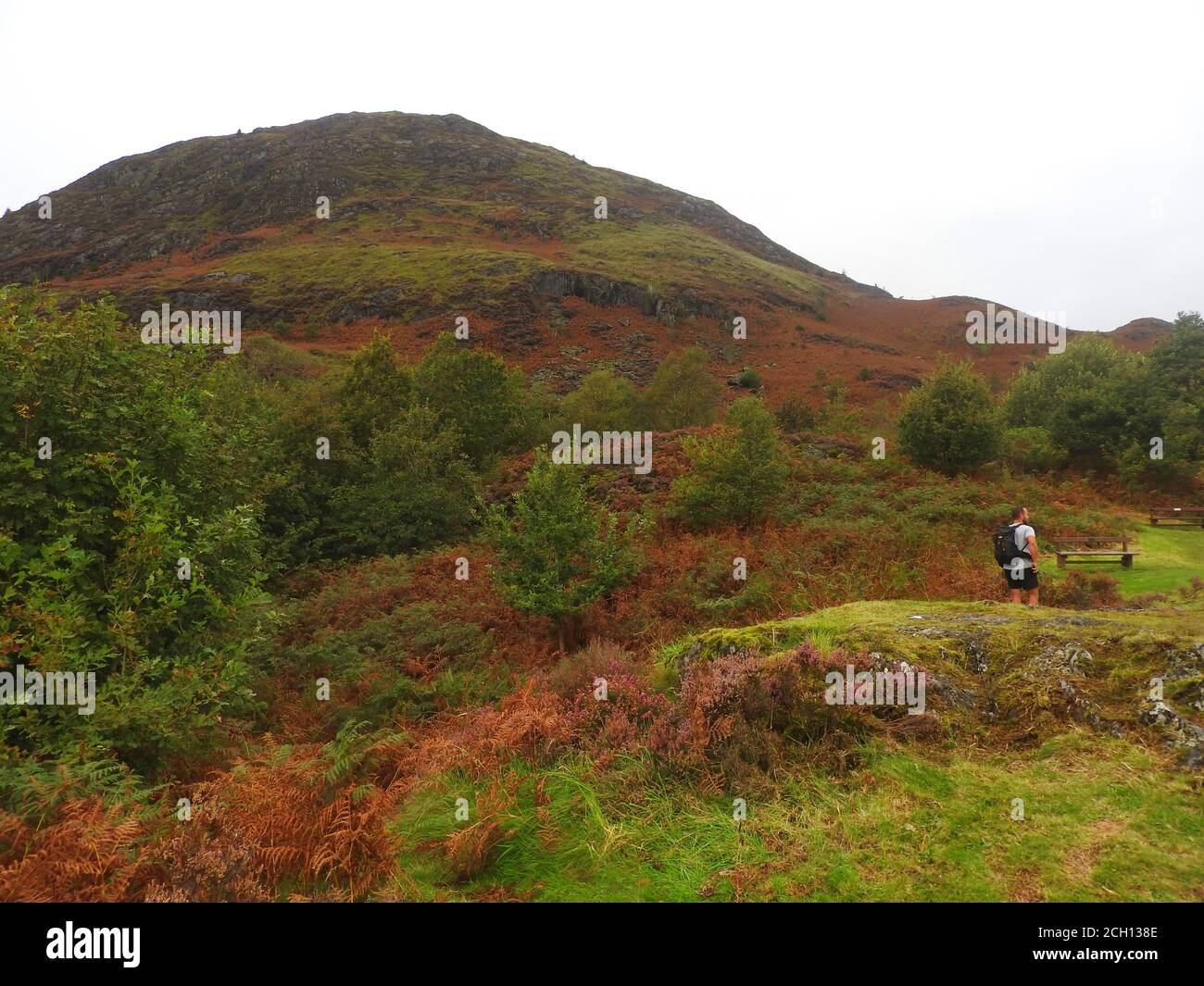 Un randonneur longe le pied de la chute d'Eschoncan, Glen Trool, Dumfries et Galloway (DG8 6TA) en septembre 2020 près du Mémorial Robert the Bruce (comte de Carrick), près du Loch Troon, Galloway (photographie de 2020). - la bataille de Glen Trool a eu lieu lors de la première Guerre de l'indépendance écossaise, qui a eu lieu en avril 1307. Glen Trool est un Glen étroit dans les Uplands du Sud de Galloway, en Écosse dans lequel le Loch Trool (derrière le monument) est situé. Alors que les soldats anglais approchaient le Glen étroit dans un seul dossier, les hommes de Bruce ont lancé des rochers et des flèches vers le bas sur eux et ont obtenu une victoire Banque D'Images