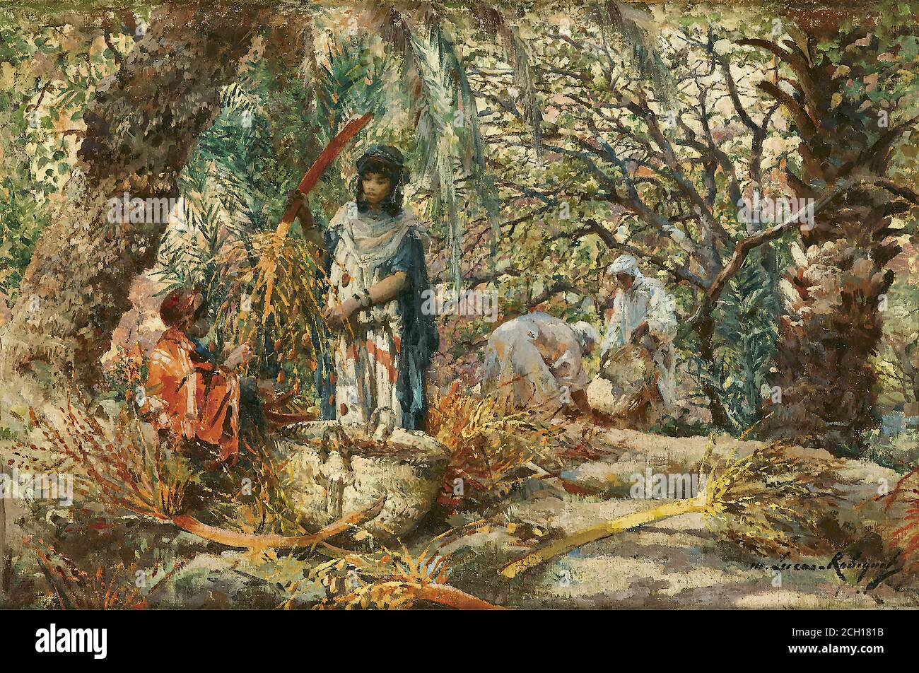 Lucas-Robiquet Marie aimée - la Recolte des Dattes a Touggourt - École française - 19e et début du 20e siècle Banque D'Images