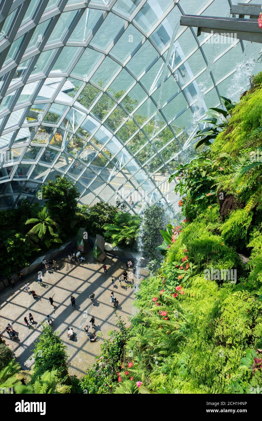 Singapour, Gardens by the Bay, Cloud Forest Dome. Dôme intérieur vitré avec plantes tropicales de la forêt tropicale et cascade. Banque D'Images