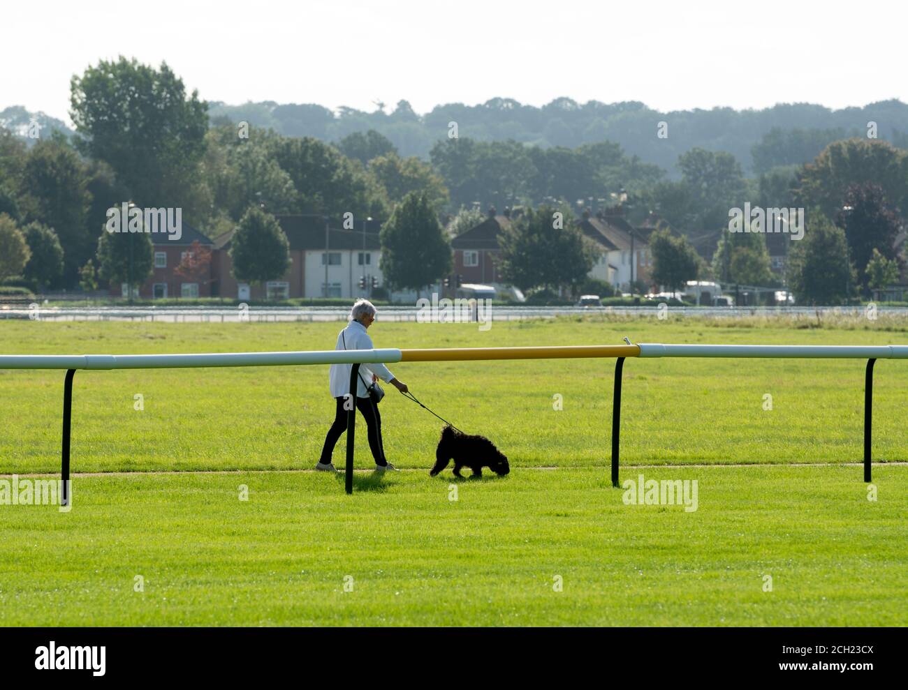 Personne marchant un chien à l'hippodrome de Warwick pendant la pandémie Covid-19 de 2020, Warwickshire, Angleterre, Royaume-Uni Banque D'Images