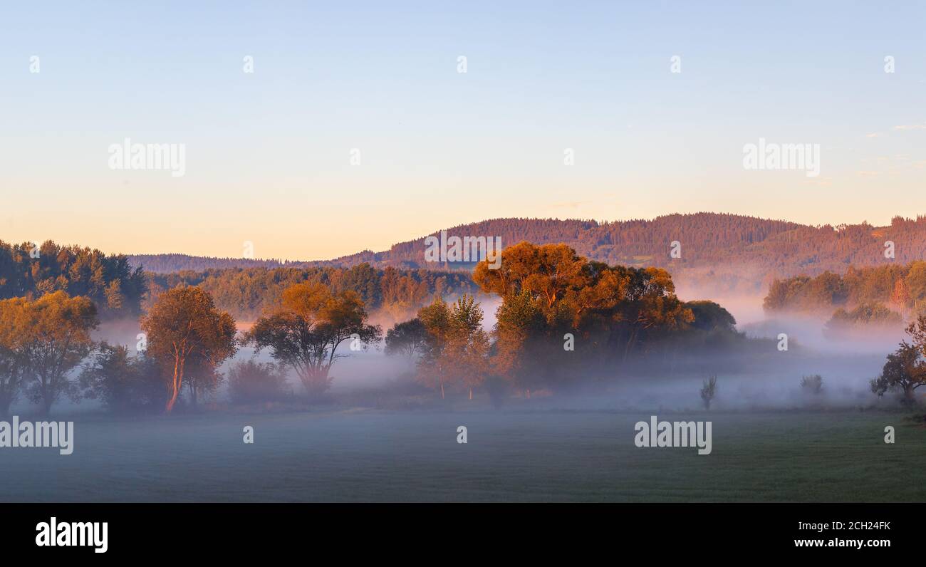 paysage brumeux le matin - tress sorcière, forêt, prairie et collines - éclairé par le soleil levant Banque D'Images