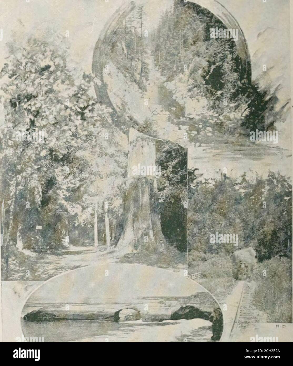 . Visite du continent : Colorado, Californie et parc national de Yellowstone : train spécial, conduit personnellement via le centre de New York et la rivière Hudson R.R. et les lignes de correspondance. G le voyage sera prolongé jusqu'aux écluses de Cascade et retour. Retour à l'heure du souper ; le petit déjeuner doit être servi sur le cuiseur vapeur, le tout inclus dans le billet. Le souper sera servi à l'hôtel, où nous avons fait la soirée. Berths sur spécial prêt pour l'occupation à tout moment, le train pour quitter Portland environ 11.50 p. M..mercredi, le 31 juillet, sur le chemin de fer du Pacifique Nord (et nous continuons sur cette route jusqu'à l'arrivée à St.Paul, plus Banque D'Images