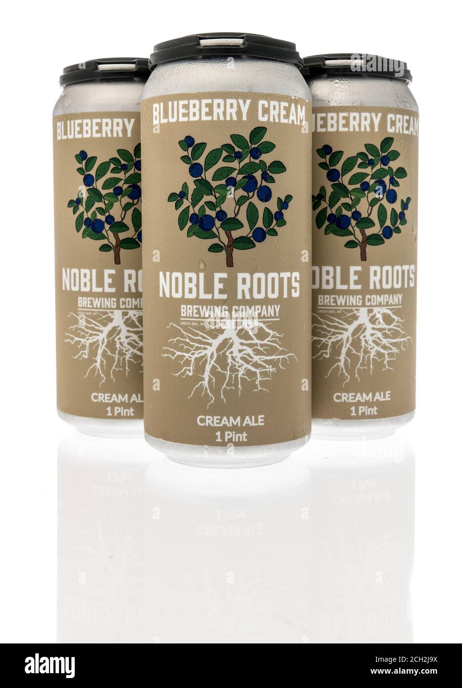 Winneconne , WI - 12 septembre 2020 : un paquet de quatre bières à la crème Blueberry de Noble Roots bravant sur un fond isolé. Banque D'Images