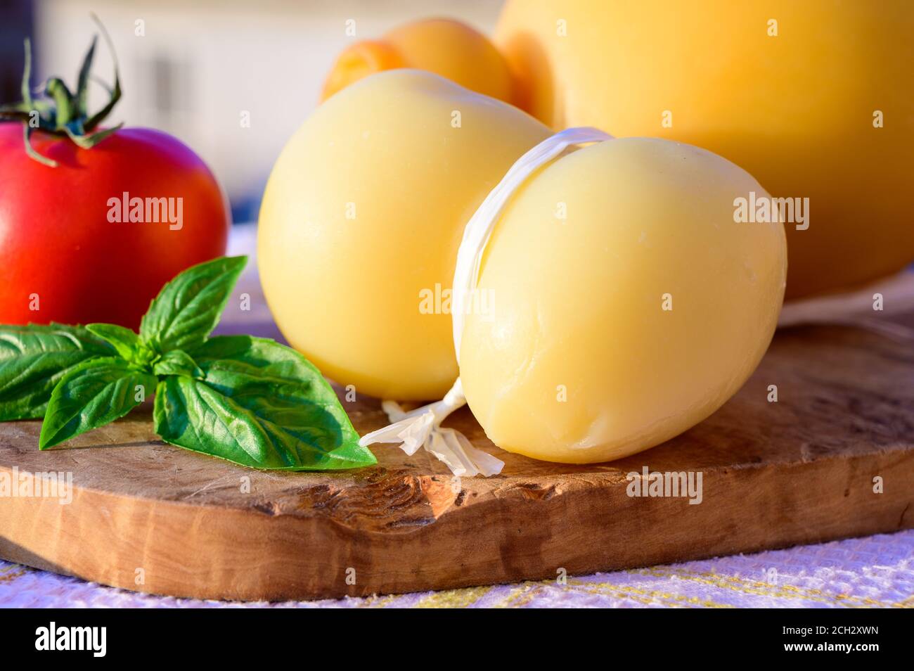 collection-de-fromages-fromages-italiens-provolone-caciocavallo