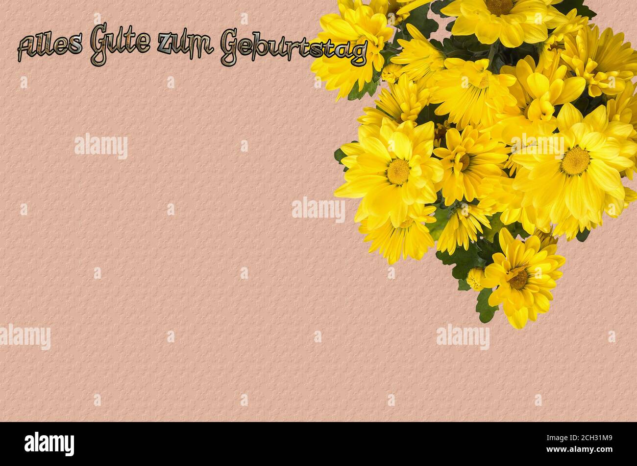 Carte Decorative Espace Pour La Saisie De Texte Carte Decorative Lettrage En Allemand Place Pour Le Texte Fond D Ecran Papier Peint Carte Postale Photo Stock Alamy