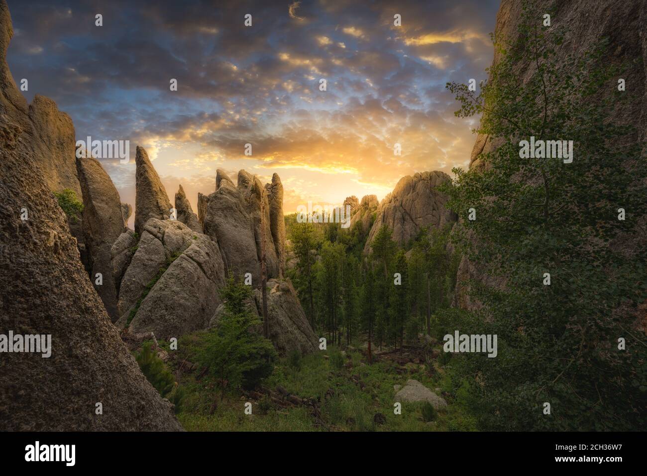 Magnifique lever du soleil à Needles Highway vue panoramique Banque D'Images