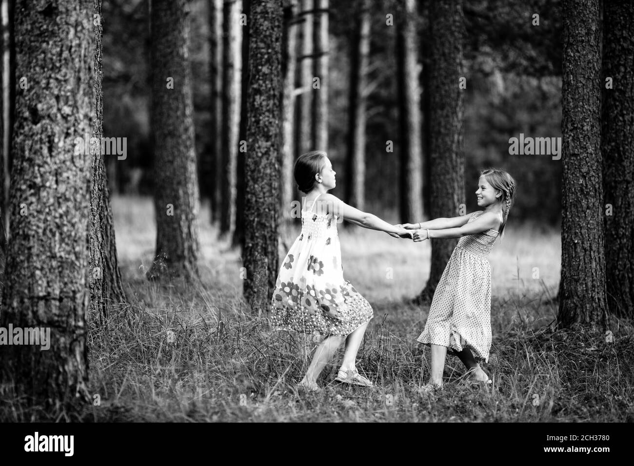 Deux petites filles pour les mains de retenue dans la forêt de pins. Photo en noir et blanc. Banque D'Images