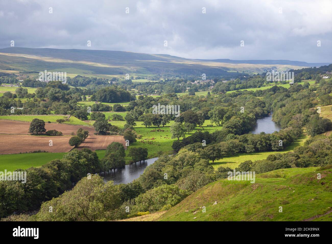 Campagne entourant les rives Tees près de Bowles, comté de Durham, Angleterre, Royaume-Uni Banque D'Images