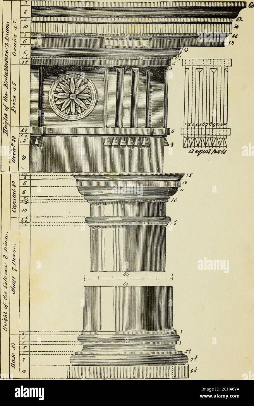 . L'instructeur de l'étudiant dans le dessin et le travail : les cinq ordres d'architecture : expliquer entièrement les meilleures méthodes pour frapper des moulures régulières et excentriques, pour diminuer et coller des colonnes et des capitales, pour trouver le diamètre réel d'un ordre à n'importe quelle hauteur, pour frapper le volute ionique, circulaire ou elliptique, avec des exemples finis, sur une grande échelle, des ordres, de leurs placeurs, etc. et quelques dessins pour porte-caisses . DORIC ORDER.planche 13.. 19 PLAQUE XIII La manière de dessiner les parties de l'ordre dorique est à peu près la même que dans la Toscane; les hauteurs et la projection de Banque D'Images