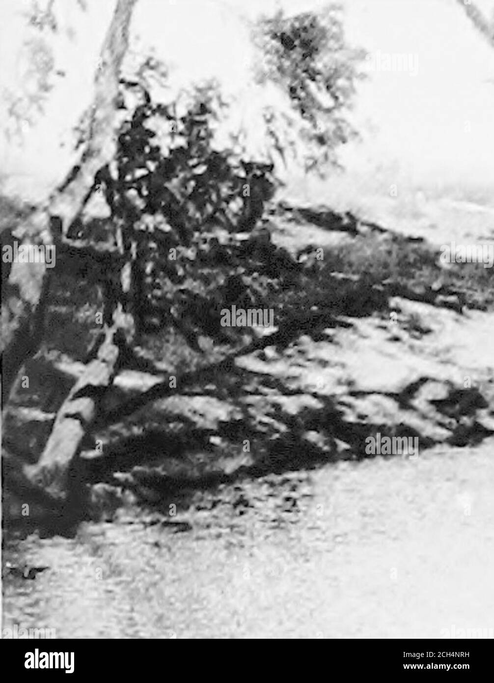 . À travers l'Australie . es avant, il a été preparedto tuer. À une autre occasion, alors qu'un certain nombre d'hommes se sont occupés à décorer les uns les autres, nous avons vu une litdecerony pittoresque qui nous a perplés considérablement jusqu'à ce que son sens nous ait été expliqué. Sans aucun warningapparent de ce qu'il avait l'intention de faire, bien que par factThere avait été une consultation précédente, un homme se leva, couper une petite mèche de cheveux des whiskers d'anotherman et a présenté ceci à un troisième homme, qui a placé itsous son bracelet. Le sens de ceci était thatle deuxième homme, dont les cheveux ont été coupés, présenterait le troisième homme, à qui les cheveux Banque D'Images