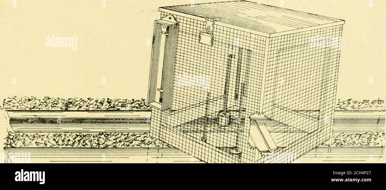 . Le chemin de fer de rue critique . ound dans un banc de jour les thermomètres ont été enfermés par une boîte, avec des côtés de wirenetting admettant l'air librement, et destinés seulement à protéger les momètres d'une rupture accidentelle. Au cours de l'expérience, des milliers de mesures ont été prises. Withexeatering vous avec les détails secs, techniques de leur répétition, le writersimplement appelle l'attention sur le fait qu'une récapitulation de ces lectures, sous la forme de moyennes, est attaché à ce papier, et dans cette forme, thatthe étudiant d'ingénierie à qui ils peuvent peut-être faire appel, trouvera alimentaire pour l'étude. Là Banque D'Images