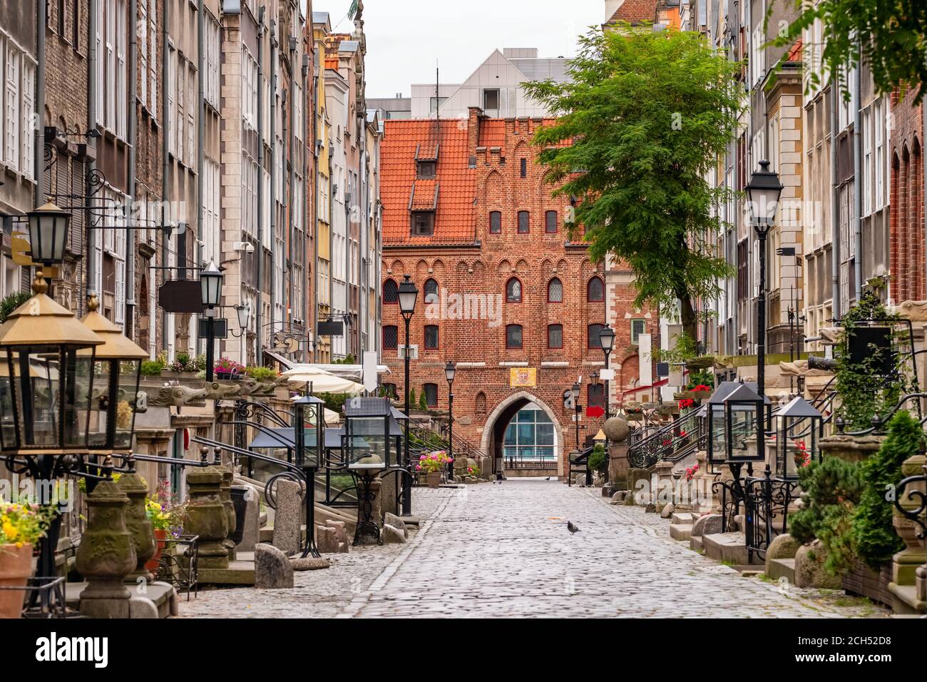 Vide rue Mariacka dans la vieille ville de Gdansk tôt le matin, Pologne Banque D'Images