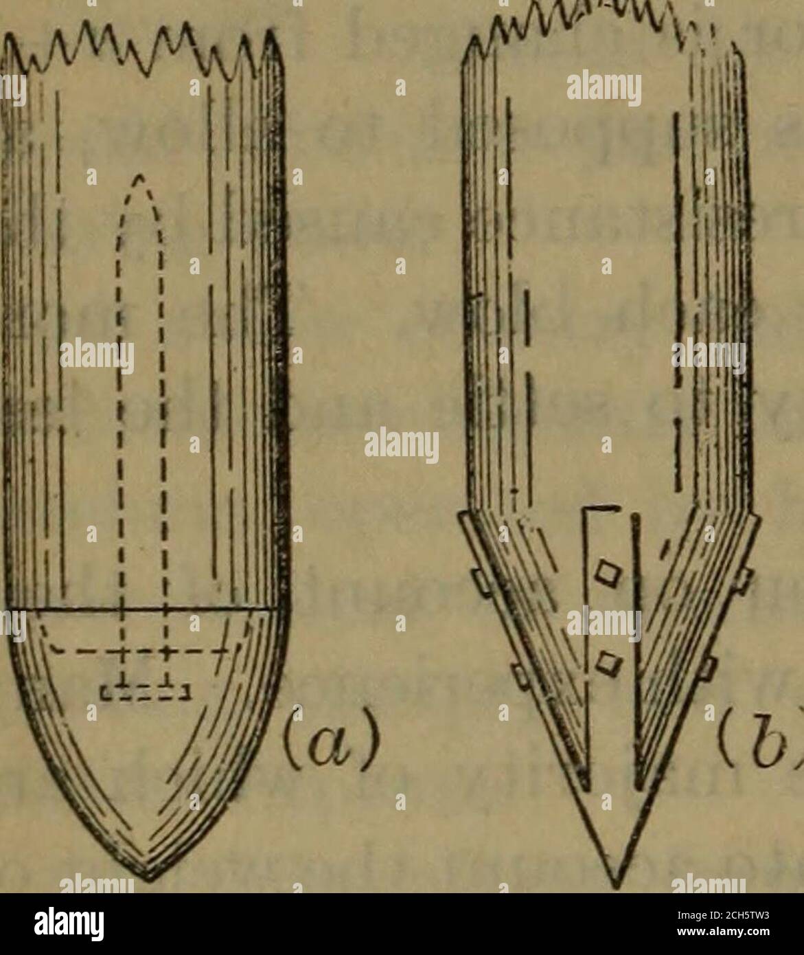 . Construction de chemins de fer. Théorie et pratique . susceptible de tourner le point, il est nécessaire de protéger le point par une certaine forme de chaussure. Plusieurs formes en fonte ont été utilisées, également une chaussure en fer forgé, ayant quatre ^sangles rayonnant de l'apex, les sangles étant clouées sur le tas, comme illustré à la Fig. 68 (6). Forme en fer forgé illustrée sur la Fig. 68 (a)a une base moulée autour d'un boulon d'extraction.le renfoncement sur le dessus de la base re-PIQ- 68. CeiACS le fond de la pile et pré-ventile une tendance à diviser le fond de la pile ou de forcer la houe hors latéralement. 133. Détails de la conception. Pas de calcul théorique Banque D'Images