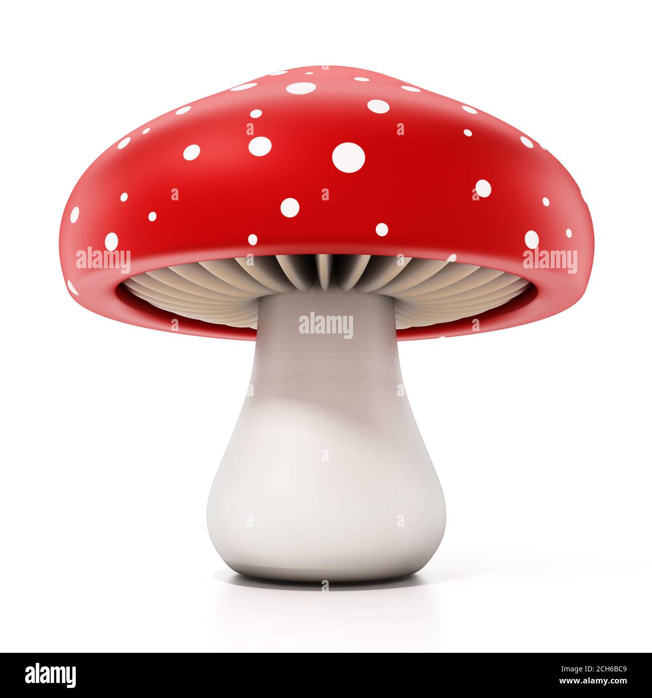 Champignon : 1 969 292 images, photos de stock, objets 3D et images  vectorielles